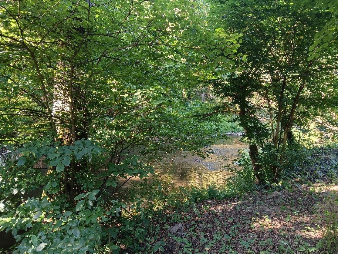 Pozemek pro bydlení · Bílovice nad Svitavou, 664 01 - 4