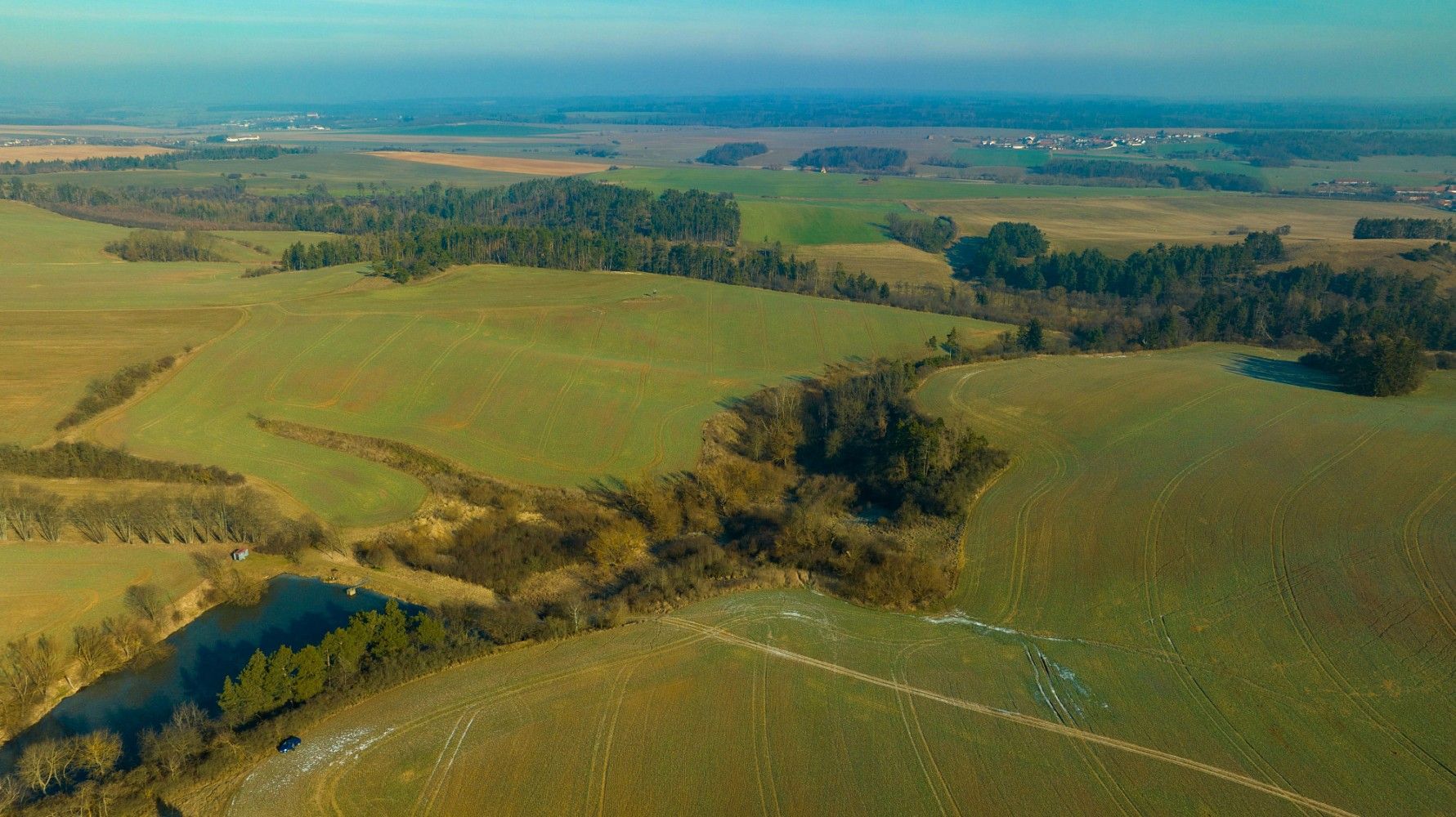 Rybník · Pavlice, okres Znojmo, Jihomoravský kraj - 4