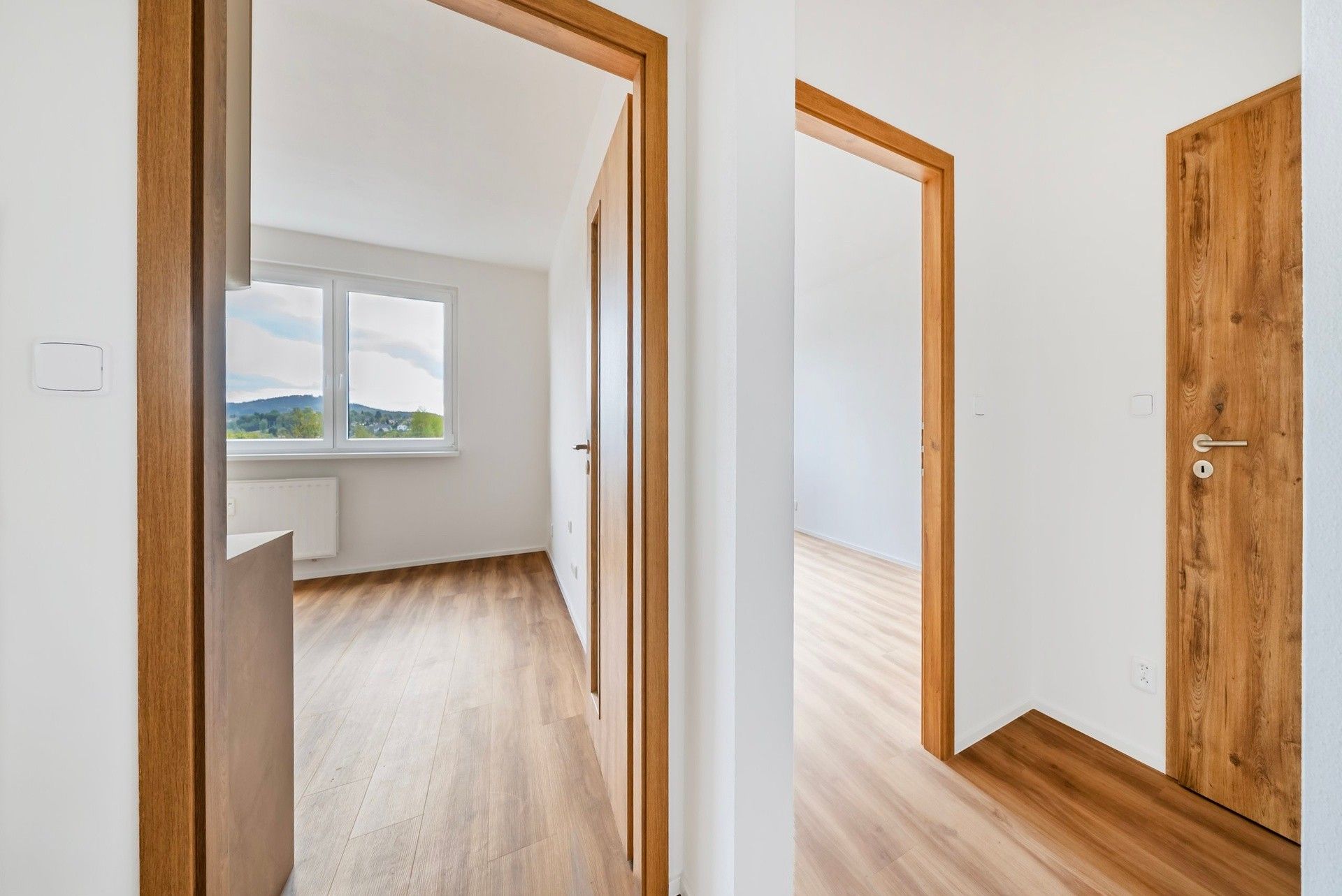 1+1, Haškova, Liberec VI-Rochlice, 55 m²