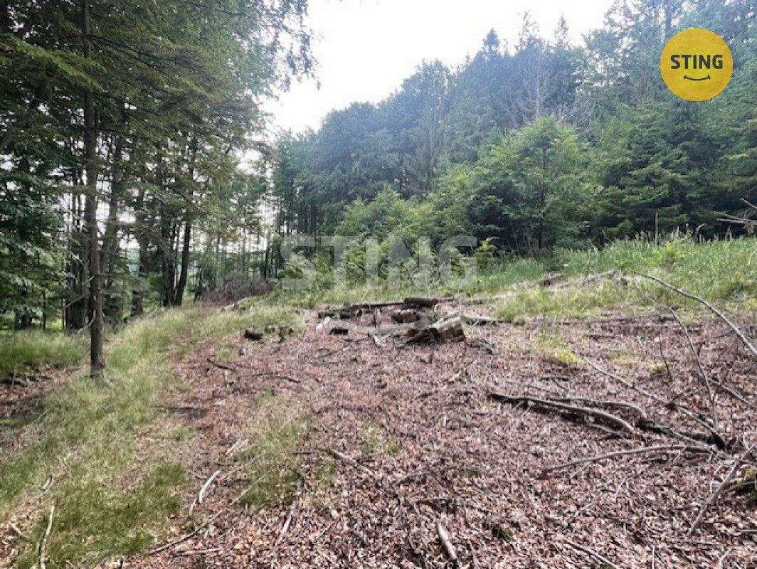 Prodej pozemek pro bydlení - Milíkov u Jablunkova, 739 81