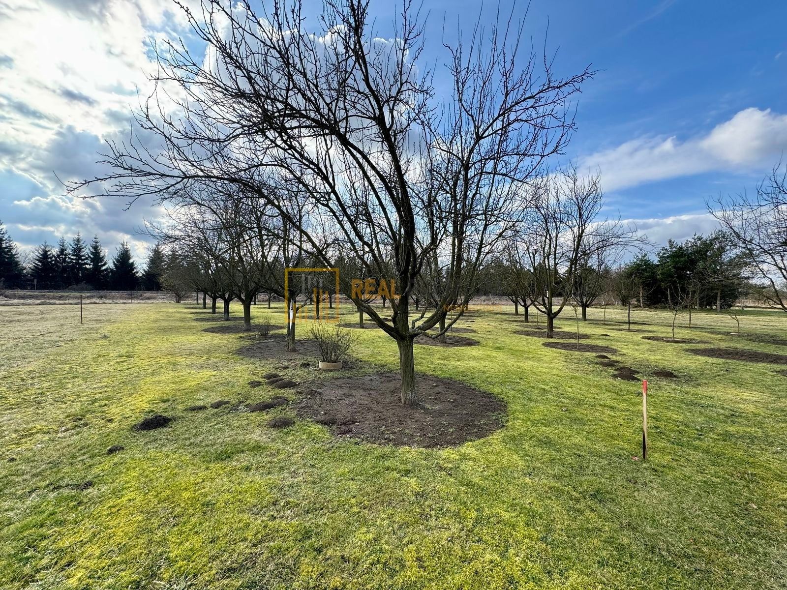 Zahrady, , Uherské Hradiště, 1 m²