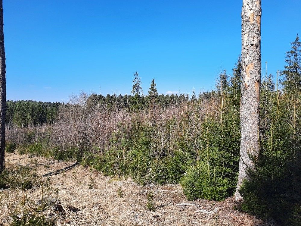 Ostatní, Těmice u Kamenice nad Lipou, 394 96 - 1