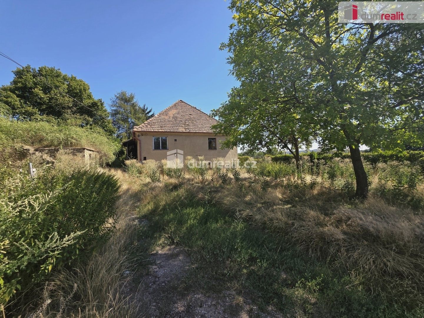 Zemědělská usedlost · 300 m² · Dolní Beřkovice - 3
