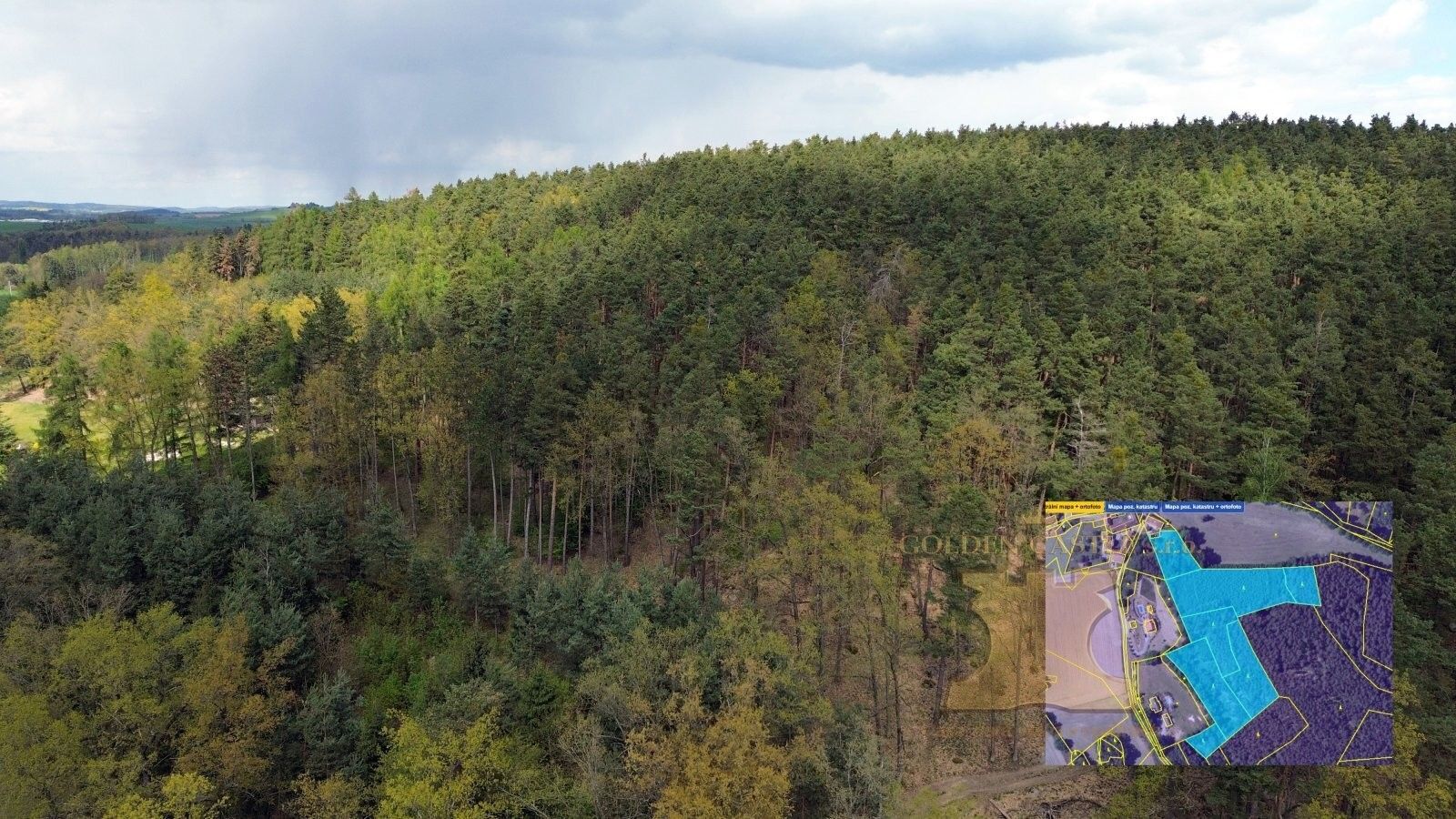 Prodej les - Přibýška, Kosova Hora, 24 m²