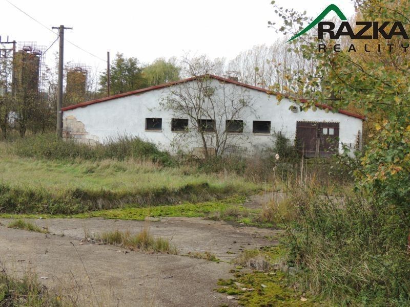 Zemědělský objekt · 5 633 m² · Velké Dvorce, Přimda - 4