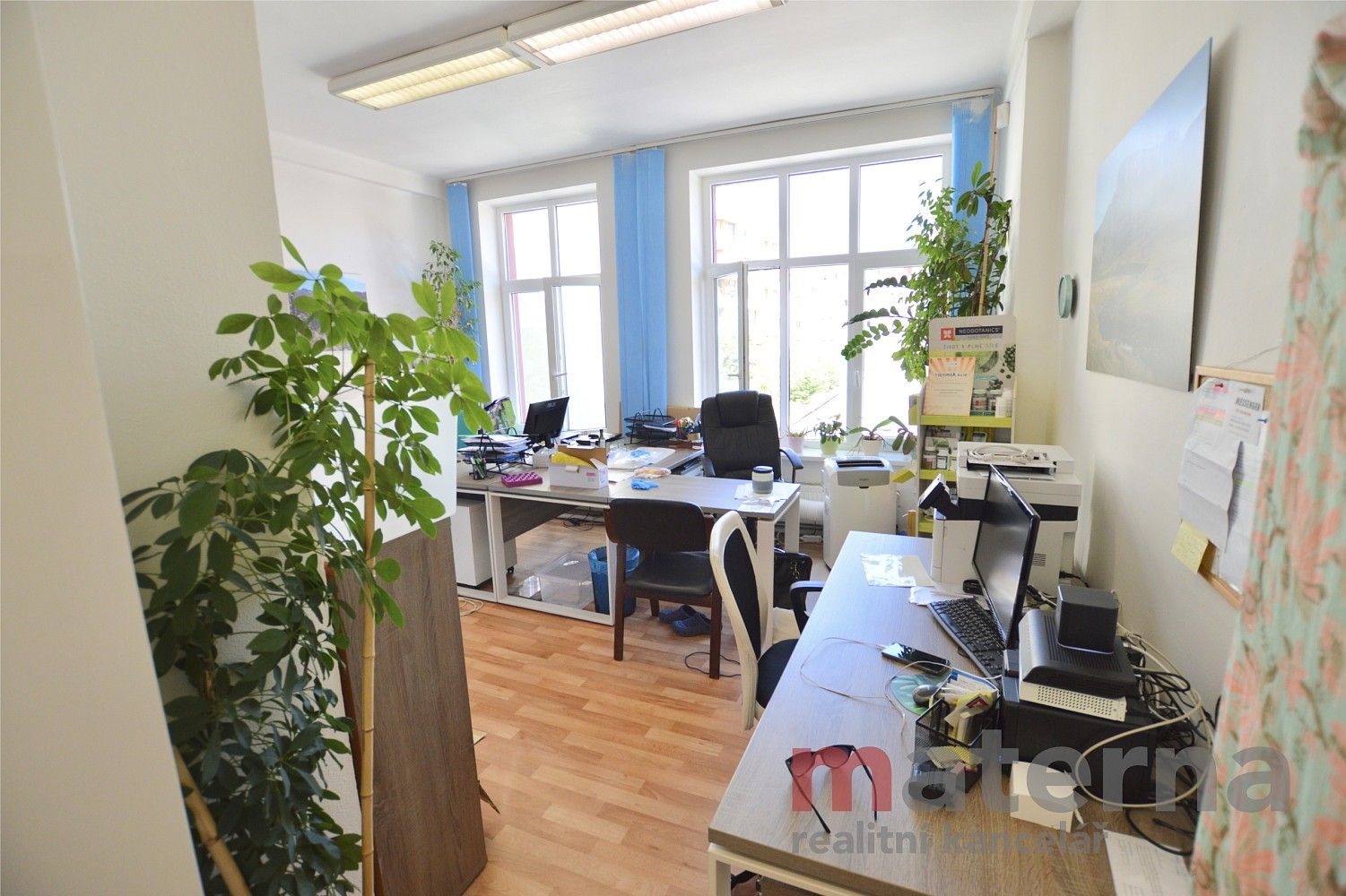Pronájem kancelář - Ocelářská, Praha 9 - Libeň, 44 m² - 2