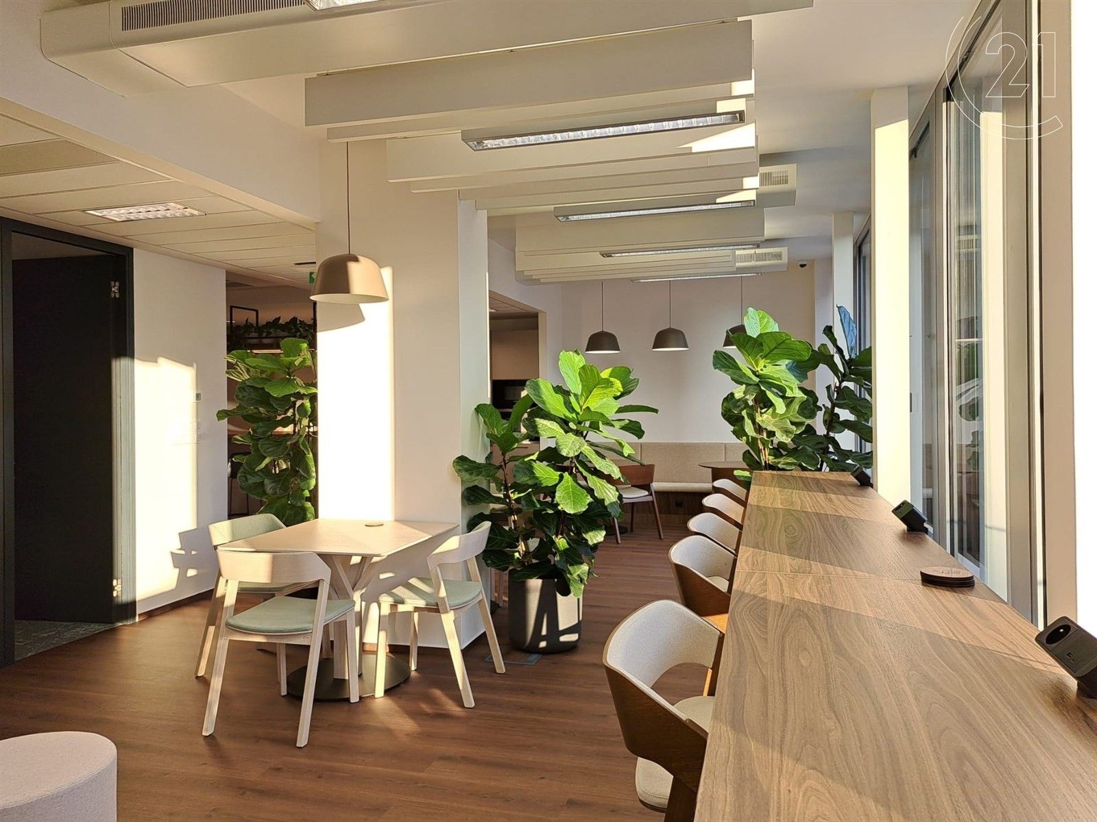 Pronájem kancelář - Lomnického, Praha, 60 m²