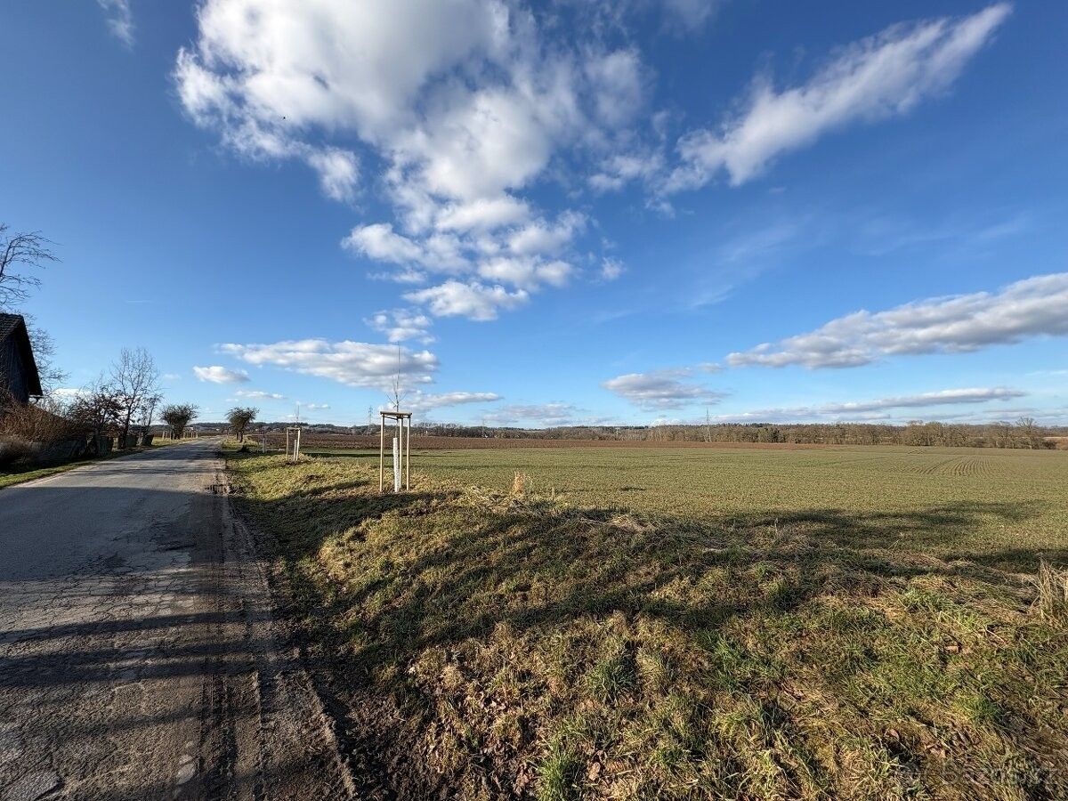 Pozemky pro bydlení, Mohelnice nad Jizerou, 294 13