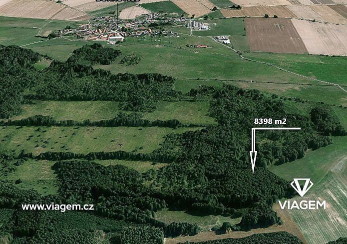 Prodej les - Borkovice, okres Tábor, Jihočeský kraj - 1