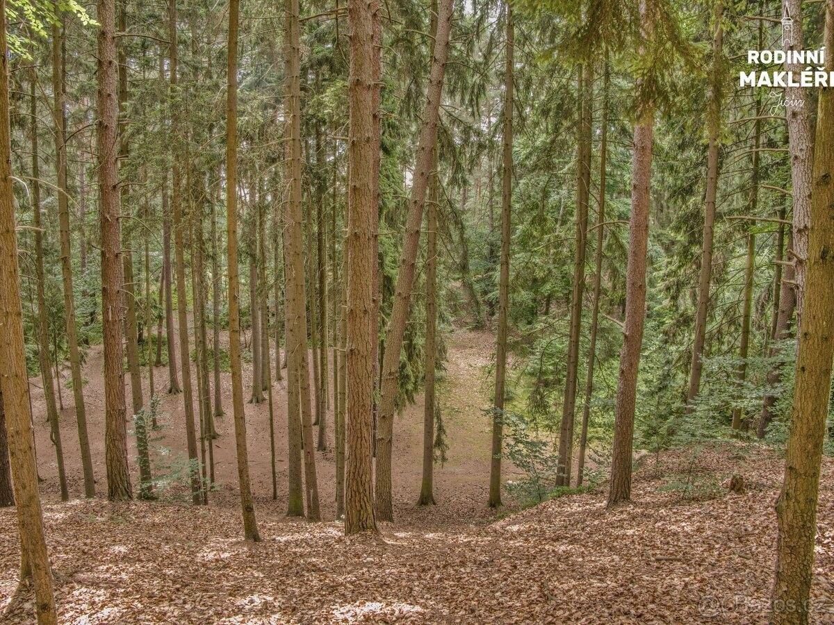 Lesy, Jičín, 506 01, 2 964 m²