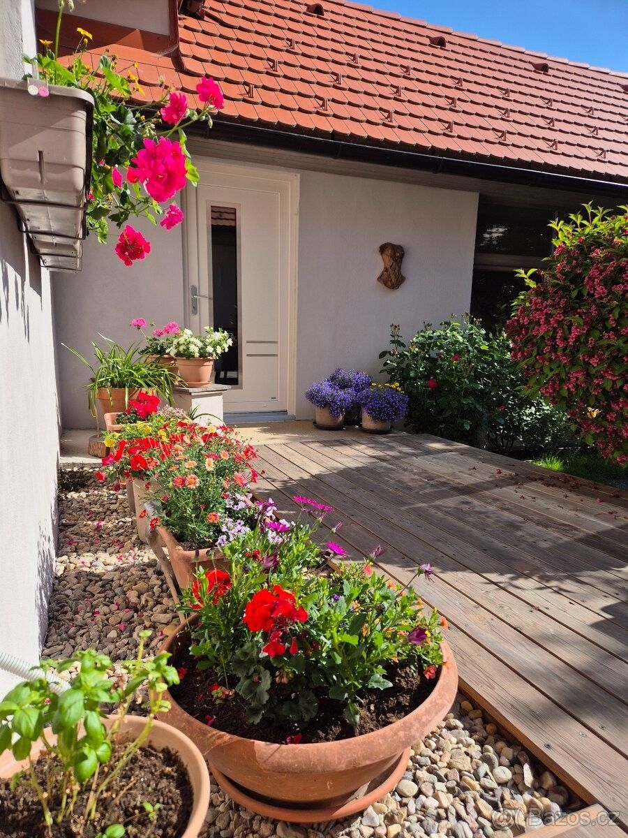 Rodinné domy, Třešť, 589 01