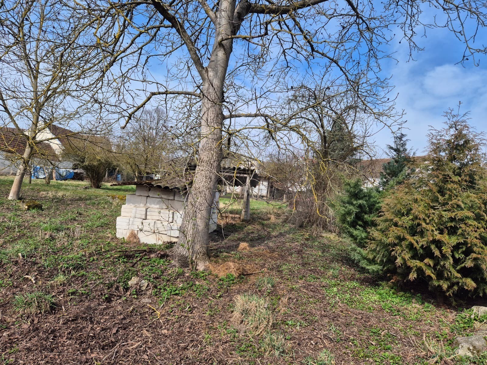 Prodej pozemek pro bydlení - Tálín Kukle, 1 074 m² - 5