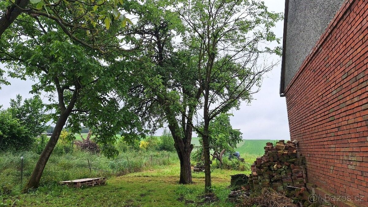 Prodej pozemek pro bydlení - Dlouhá Loučka, 783 86