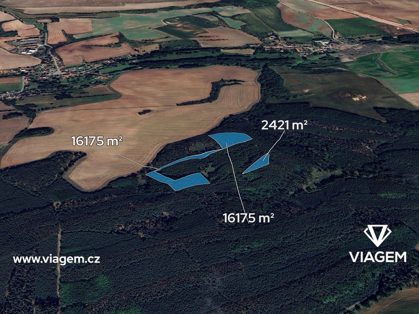 Les · Libovice, okres Kladno, Středočeský kraj - 1