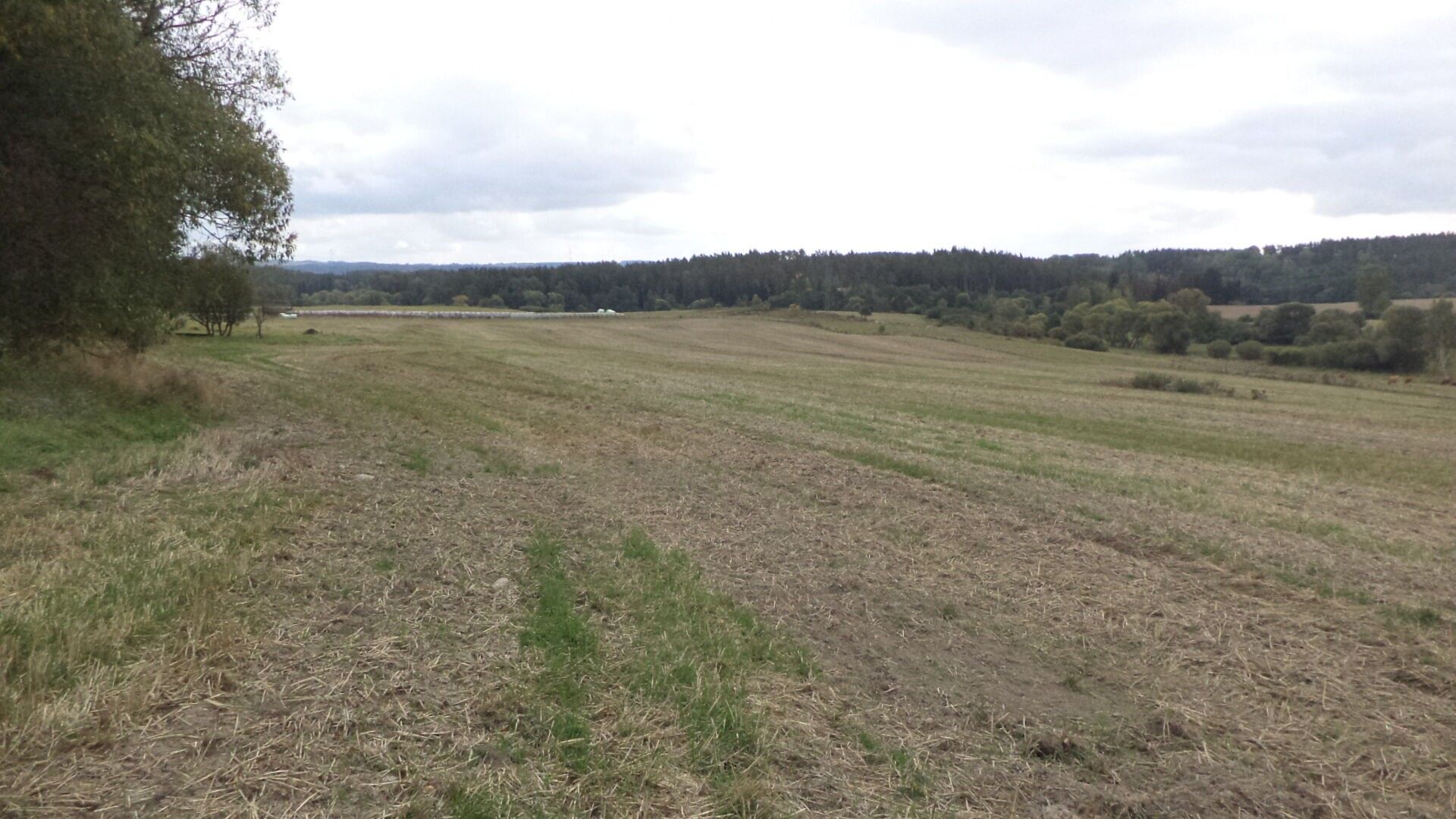 Zemědělské pozemky, Tachov, 842 m² - 1