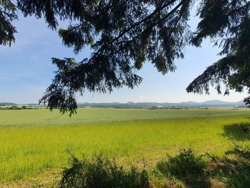 Lesy, Českolipská, Dubá, 1 360 m²