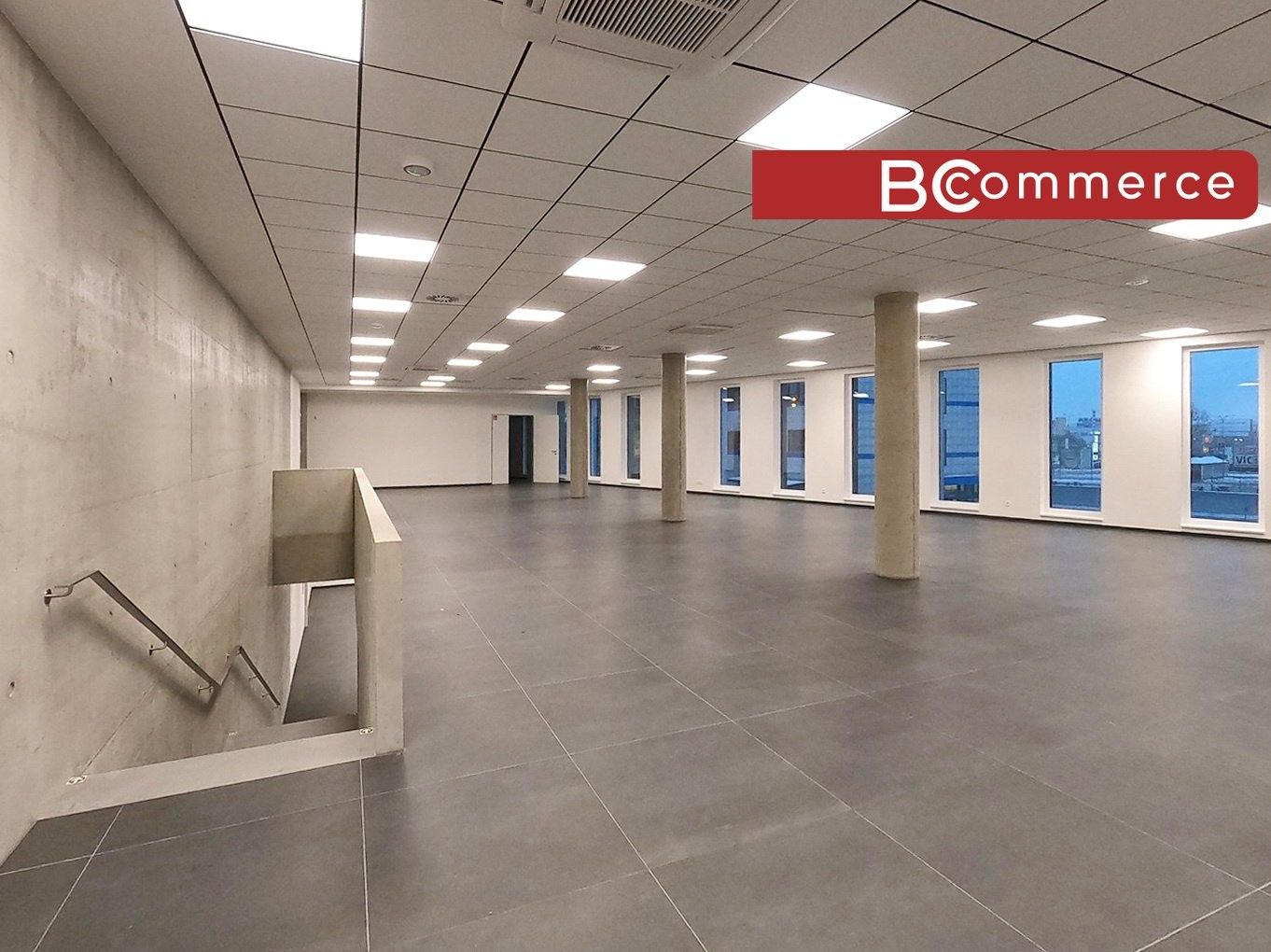 Obchodní prostory, Polní, Brno, 460 m²