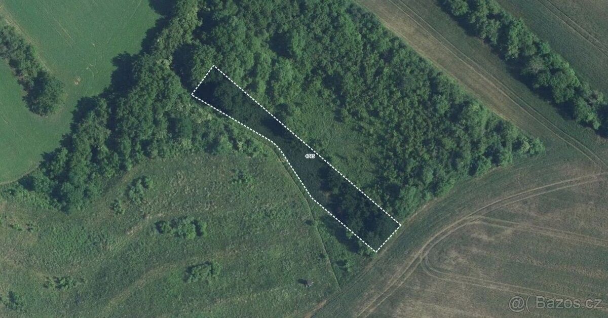 Prodej pozemek pro bydlení - 691 68, Břeclav