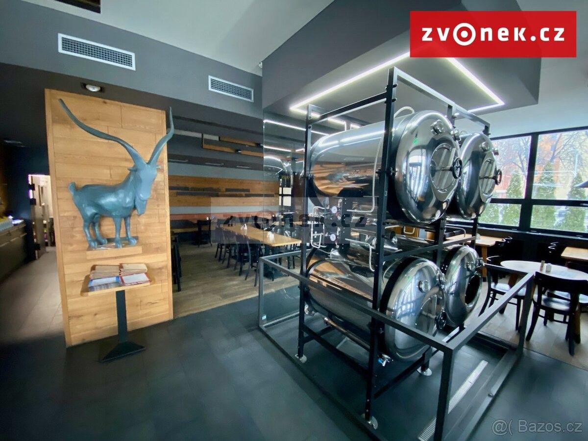 Obchodní prostory, Holešov, 769 01