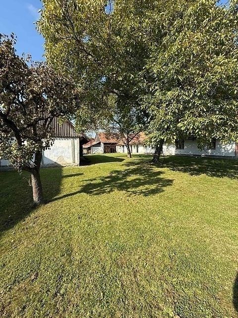 Prodej zemědělská usedlost - Opočnice, 604 m² - 5