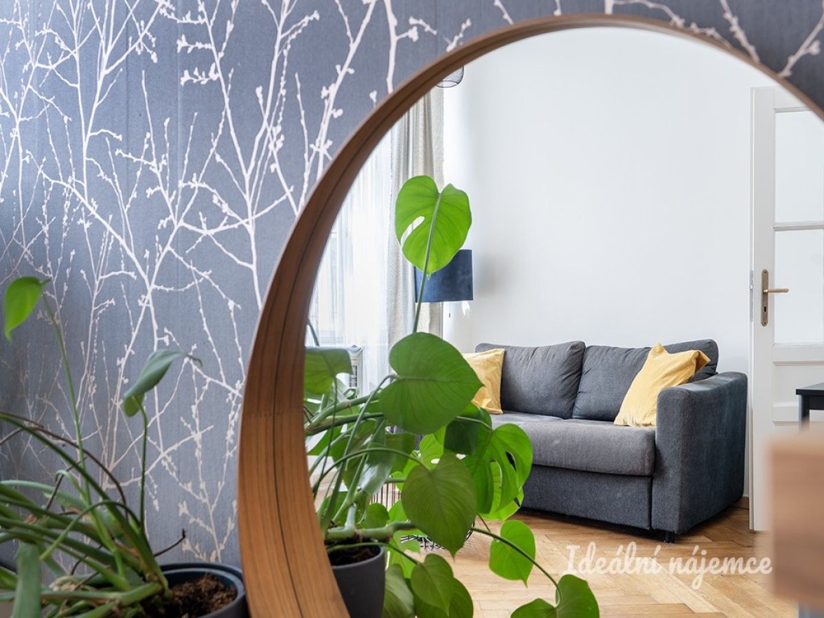 Pronájem byt 2+kk - Truhlářská, Praha, 33 m² - 5