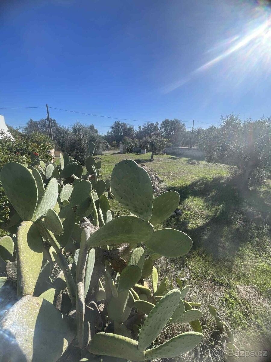 Prodej zahrada - Brno, 612 00