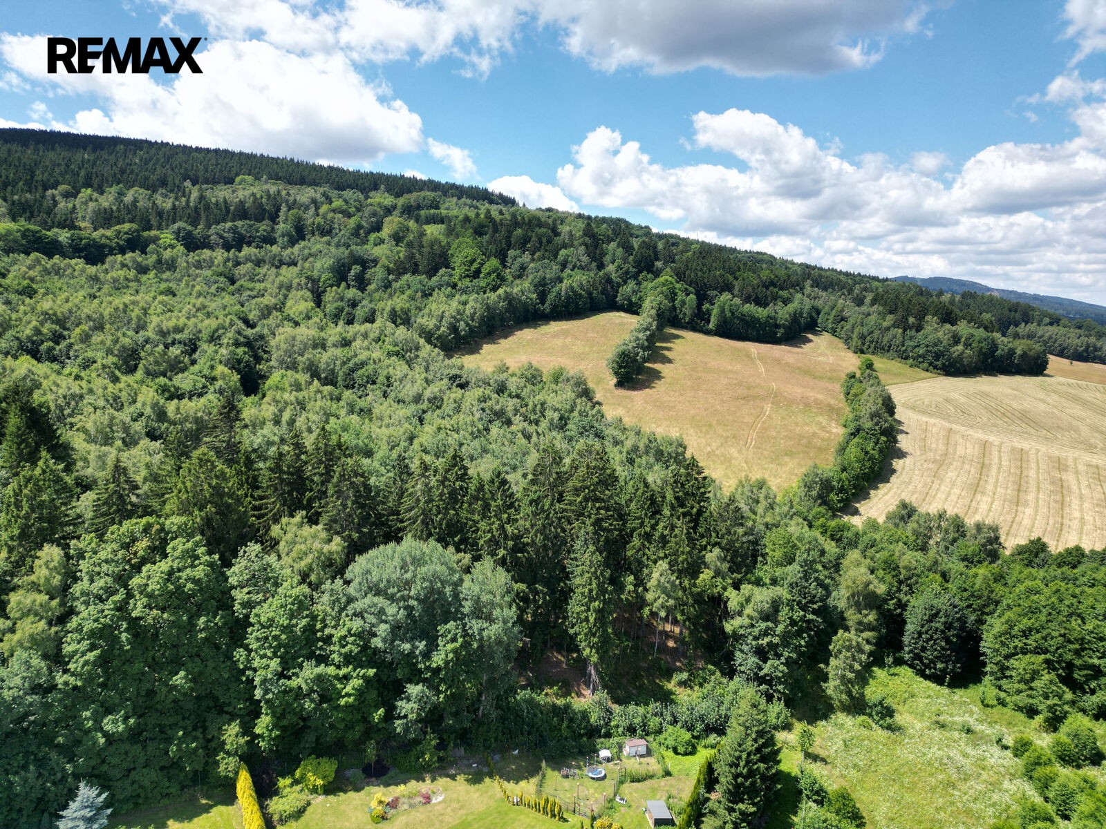 Prodej les - Šimonovice, 4 606 m² - 5