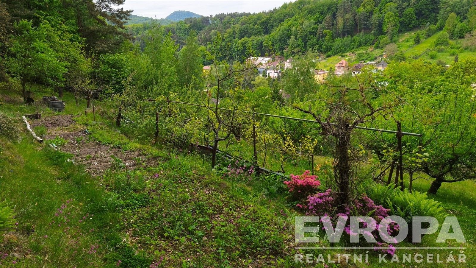 Prodej zahrada - Děčín - 5