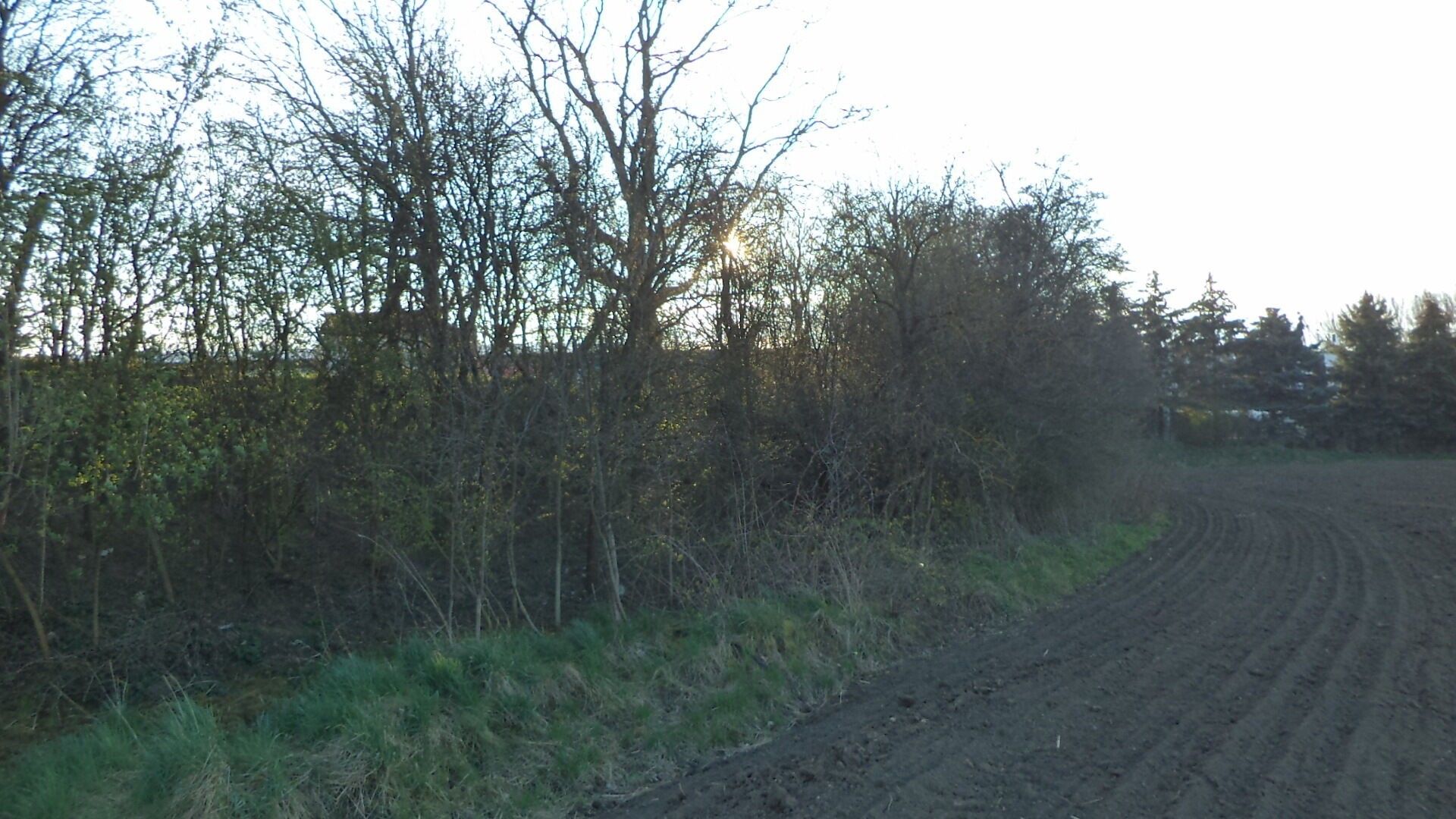 Zemědělský pozemek · 988 m² · Hulín - 4