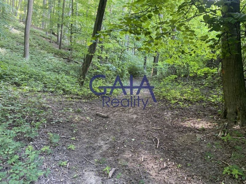 Prodej les - Ždánice, 3 224 m²