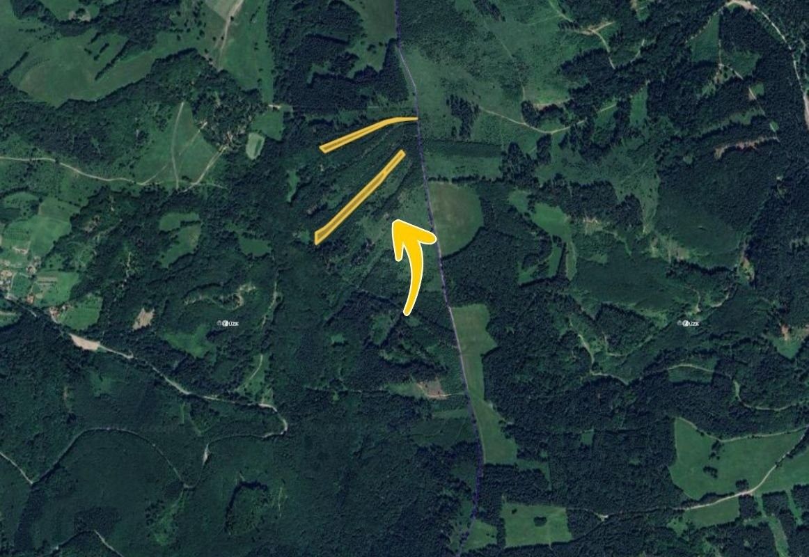 Pronájem les - Nedašov, 793 m²