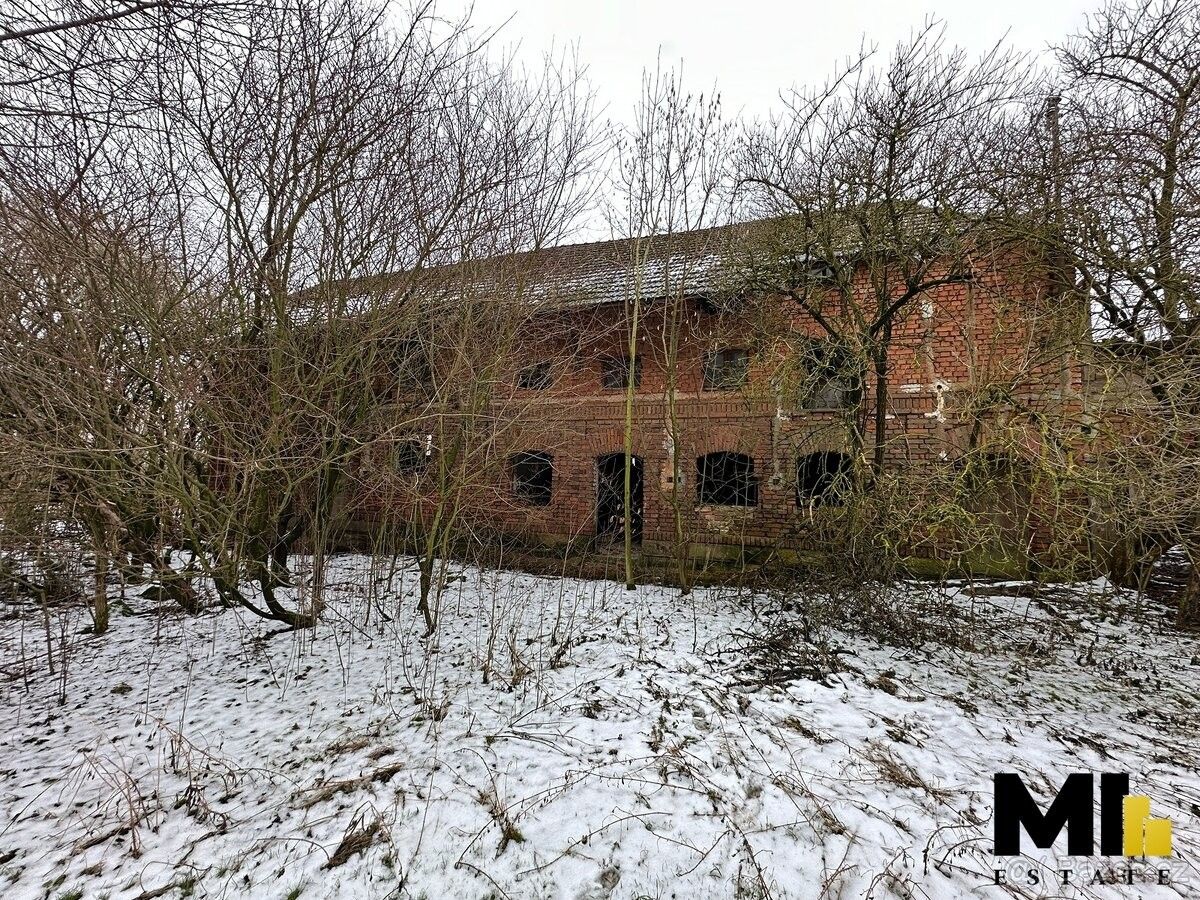 Pozemky pro bydlení, Kozojedy, 507 03