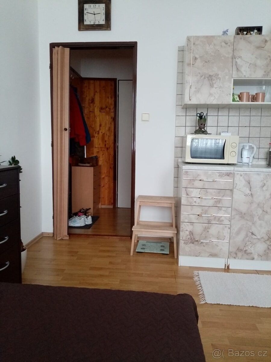 Pronájem byt - České Budějovice, 370 01