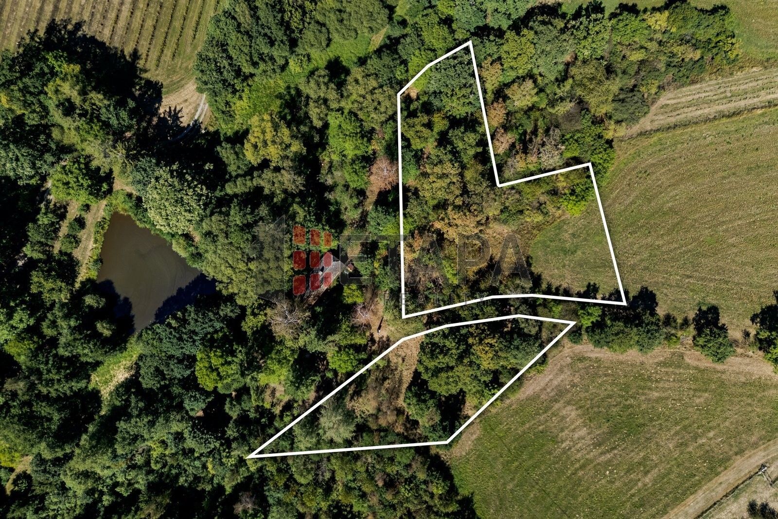 Pozemek pro bydlení, 4 555 m²