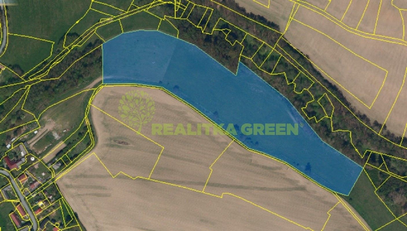 Prodej louka - Horní Dlužiny, Světlá nad Sázavou, 41 681 m²