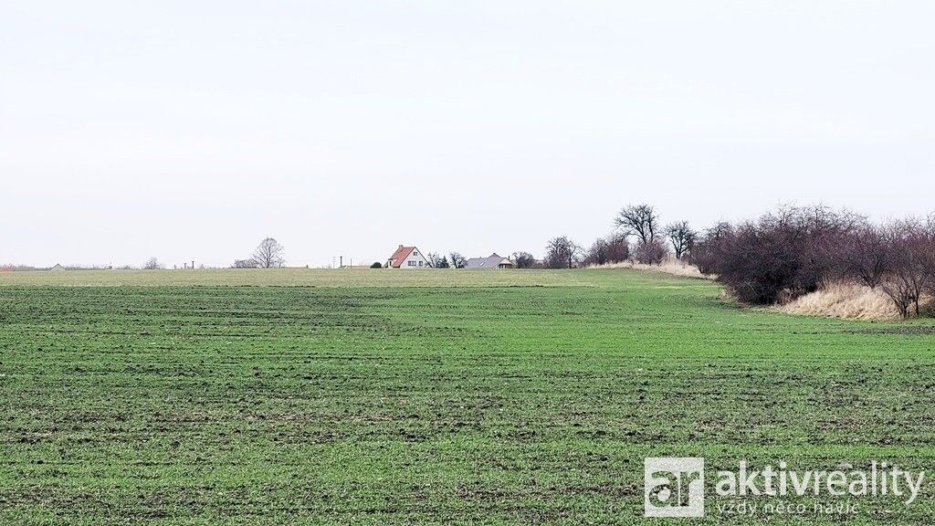 Zemědělský pozemek · 11 950 m² · Jiřice, Kostelec nad Labem - 4