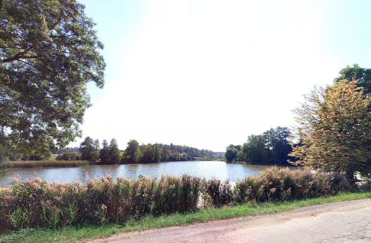 Louka · Oslavička, okres Žďár nad Sázavou, Kraj Vysočina - 3