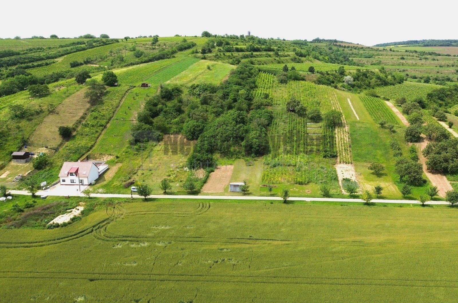 Pozemky pro bydlení, Bořetice,Bořetice, 3 395 m² - 2