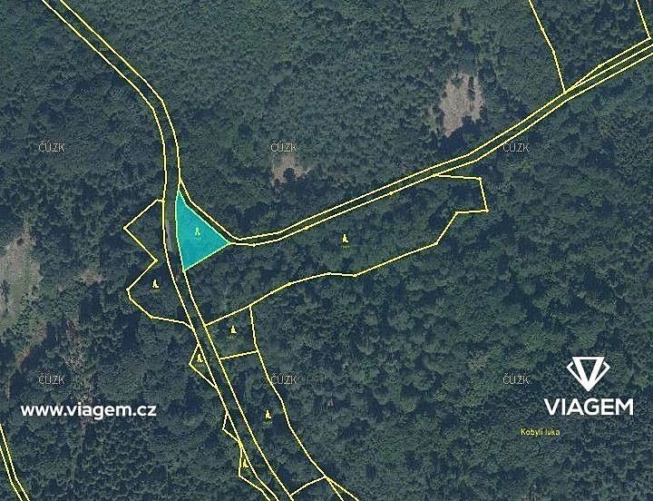 Prodej les - Hrabyně, okres Opava, Moravskoslezský kraj - 2