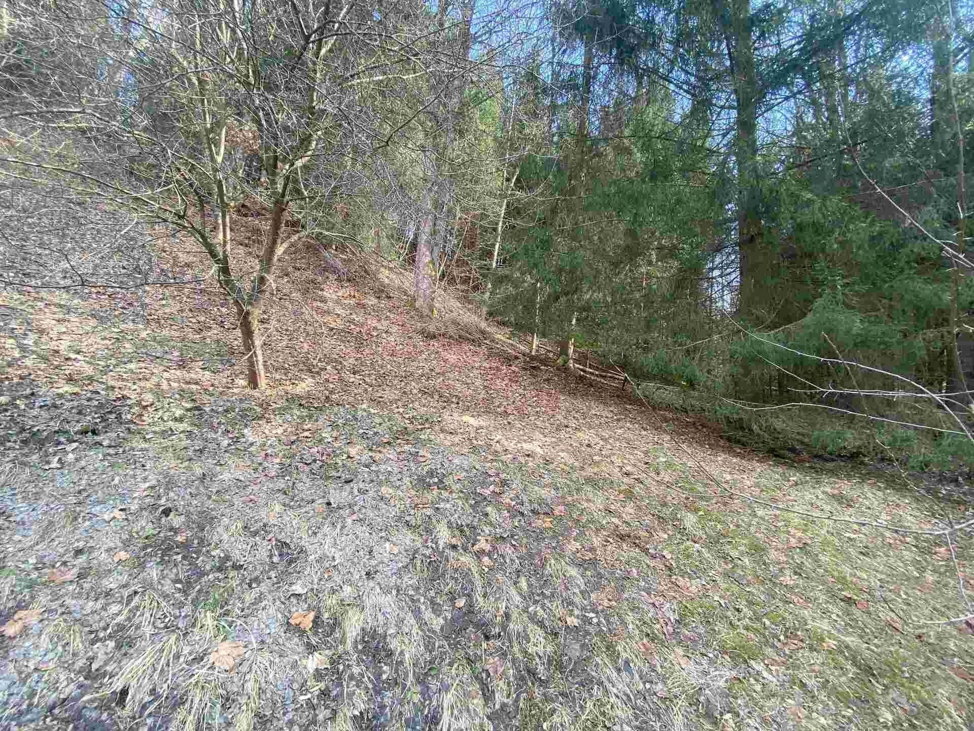Ostatní, Rokytnice v Orlických horách, 858 m² - 2
