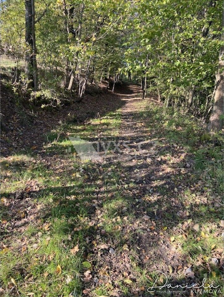 Prodej louka - Všešímy, Kunice, 7 468 m²