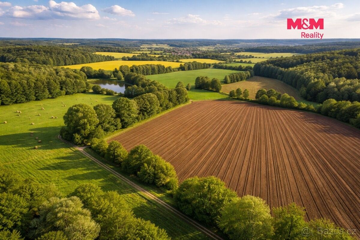 Pozemky pro bydlení, Třemošná, 330 11 - 2