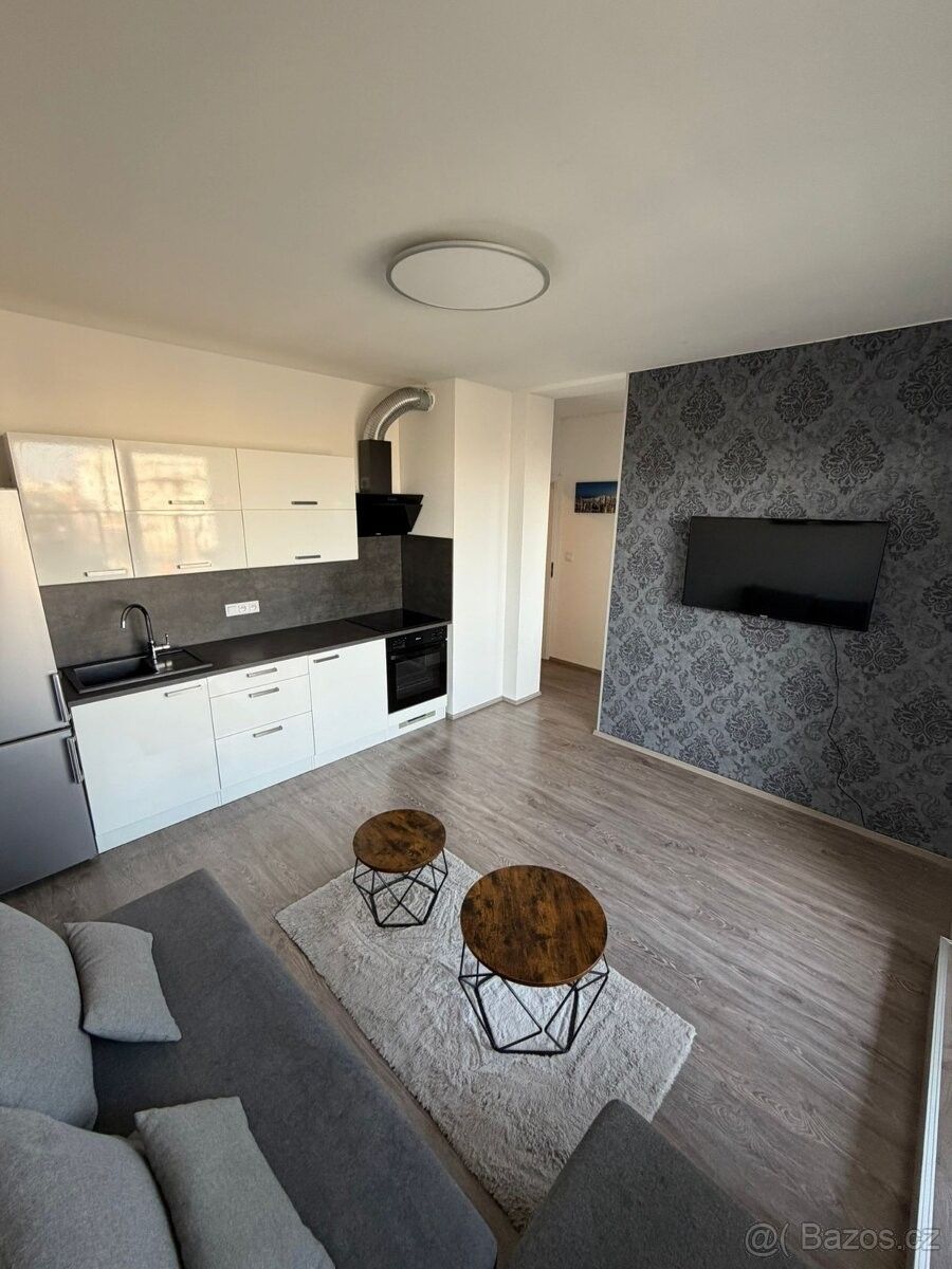 2+kk Apartment in Praha - View 3