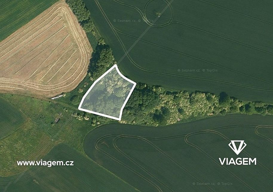 Zemědělský pozemek, 602 m²