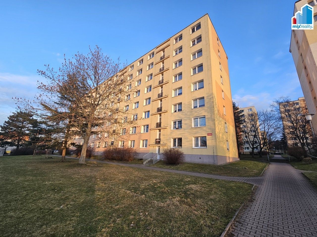 1+kk, Na Dlouhých, Plzeň, 25 m²