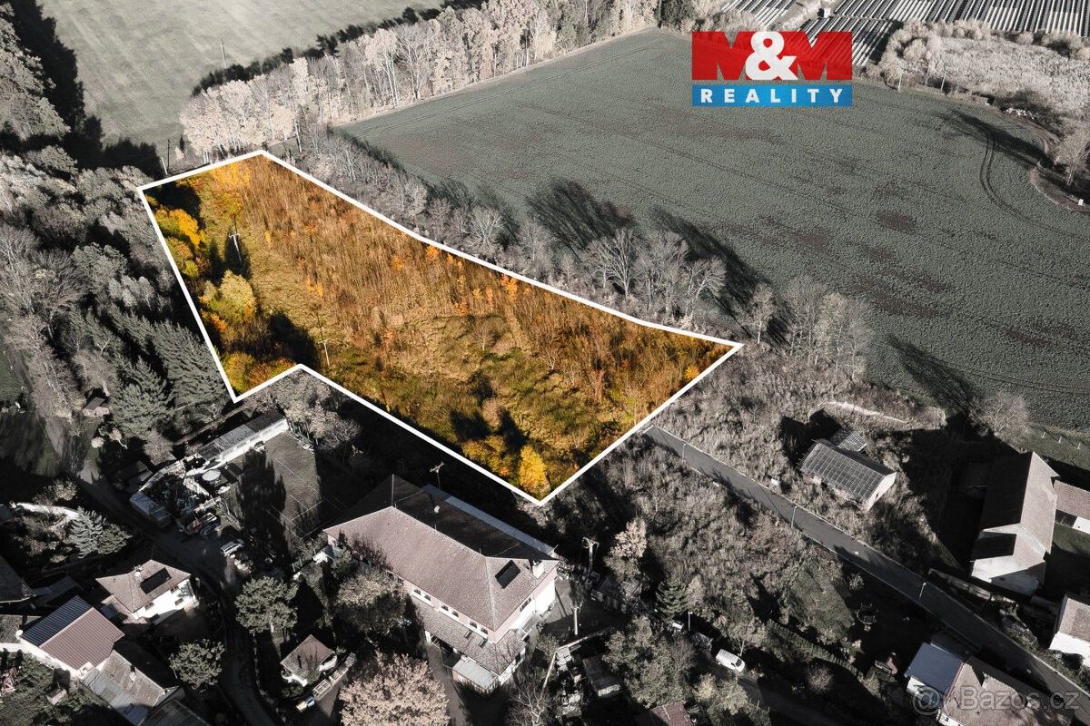 Pozemky pro bydlení, Čepí, 533 32