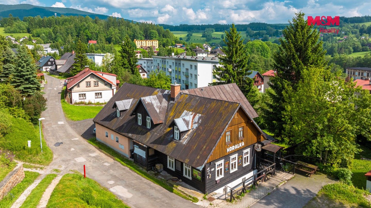 Ubytovací zařízení, Horní Rokytnice, Rokytnice nad Jizerou, 374 m² - 2
