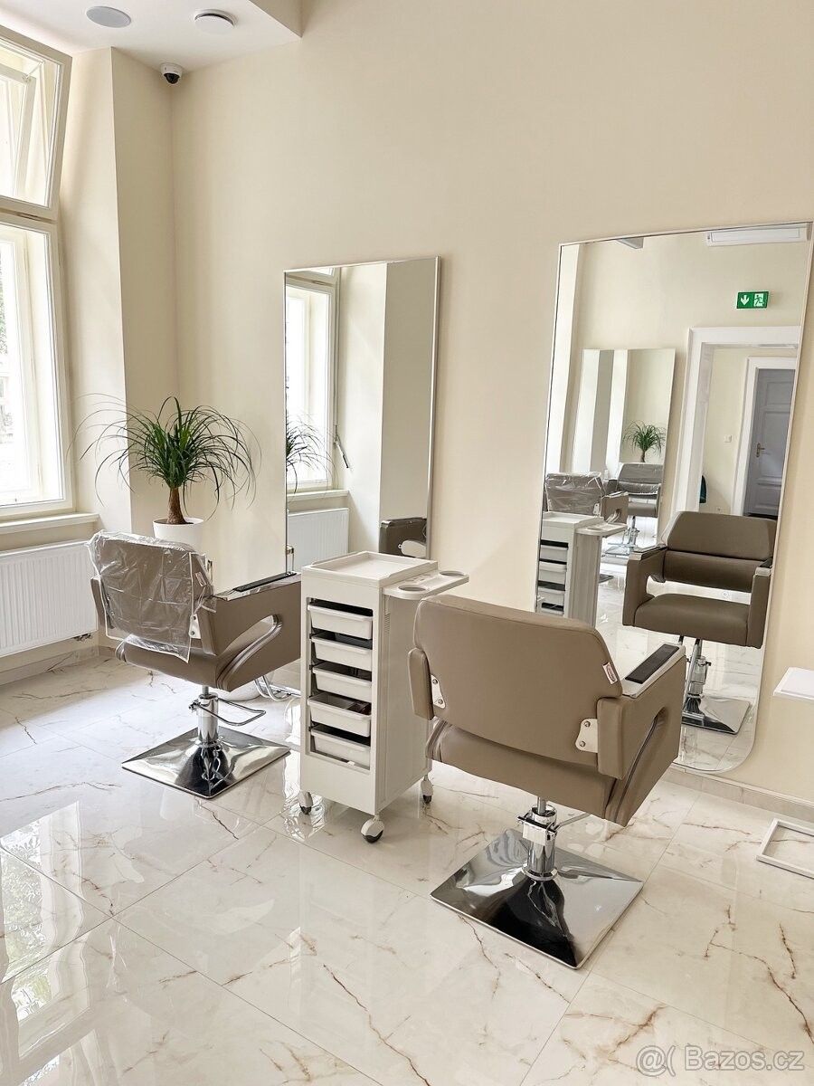 Obchodní prostory, Praha, 110 00