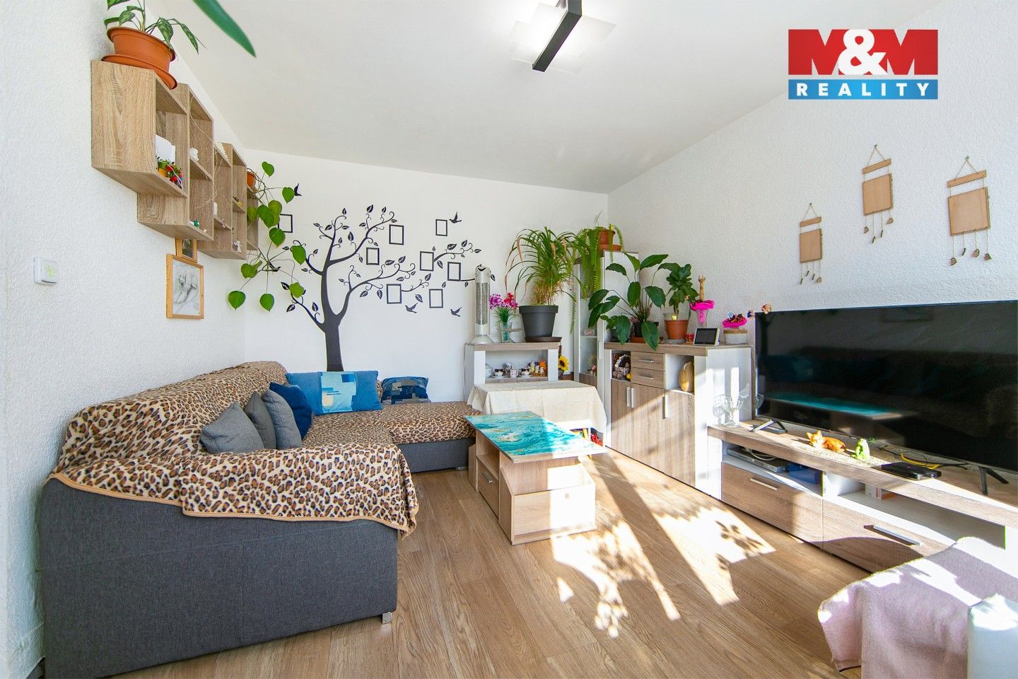 Prodej byt 3+1 - Sídliště, Toužim, 85 m² - 5