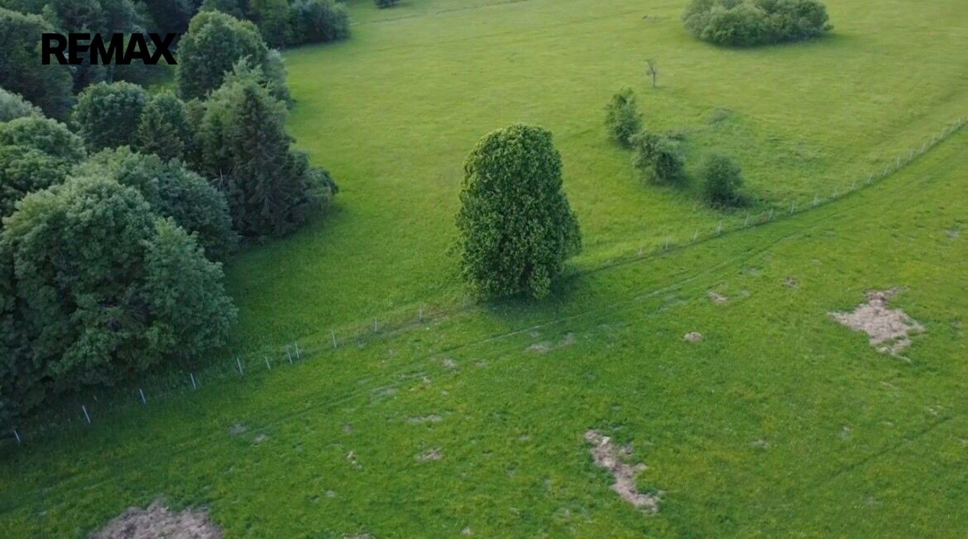 Pozemek pro bydlení · 2 281 m² · Lesná - 3